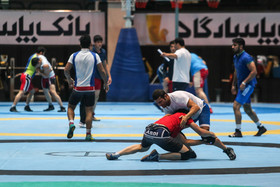 آخرین تمرین تیم ملی کشتی پیش از مسابقات جام جهانی آمریکا